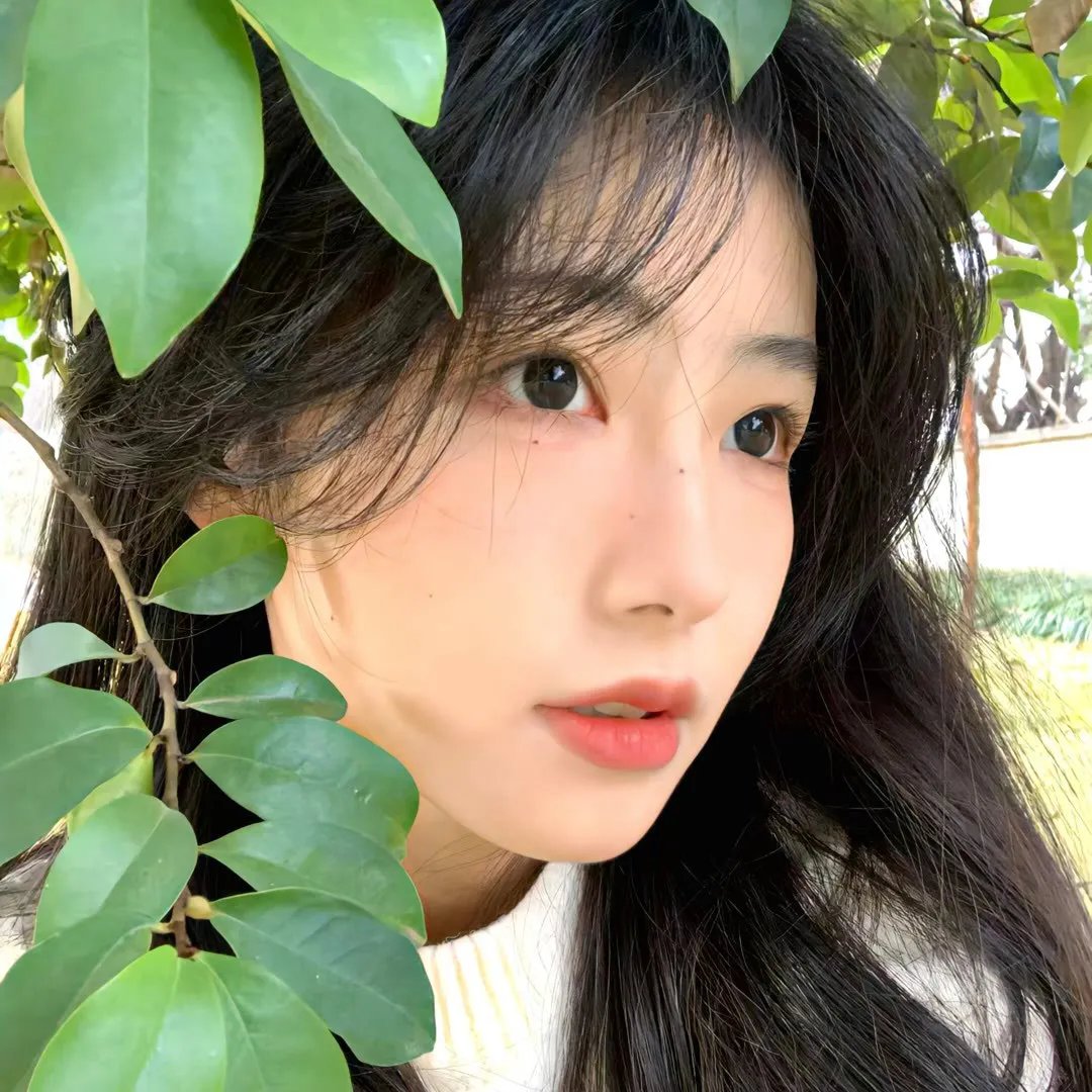 安娜与国王